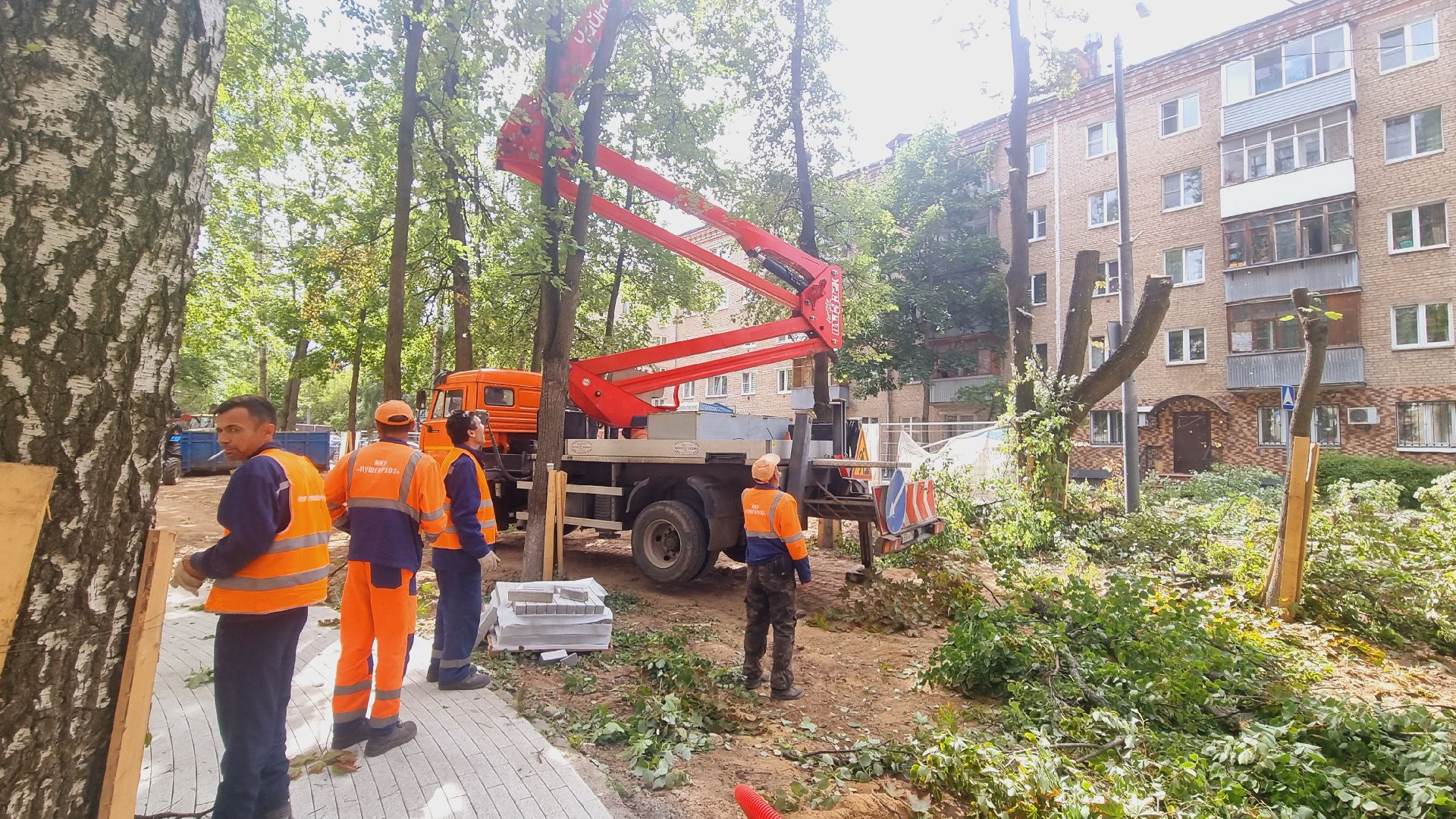 Подмосковье, Городской округ Пушкинский, благоустройство