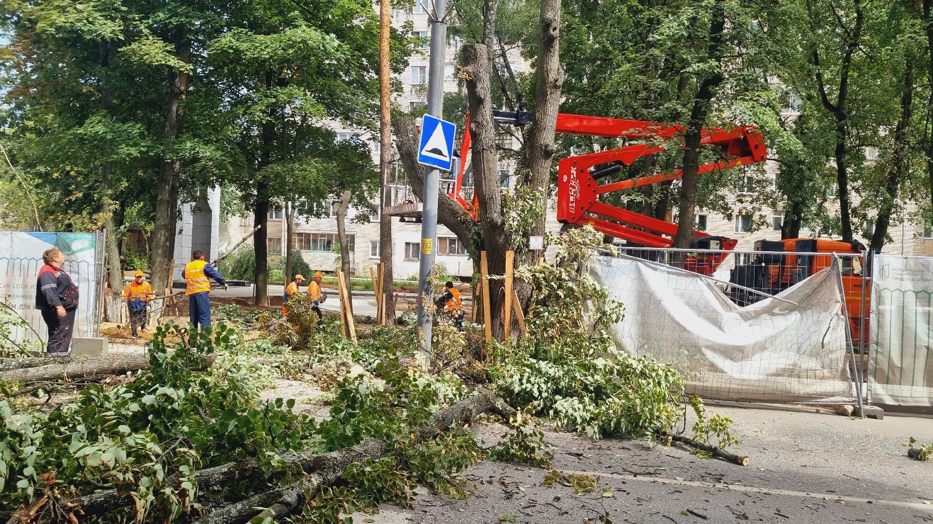 Подмосковье, Городской округ Пушкинский, благоустройство