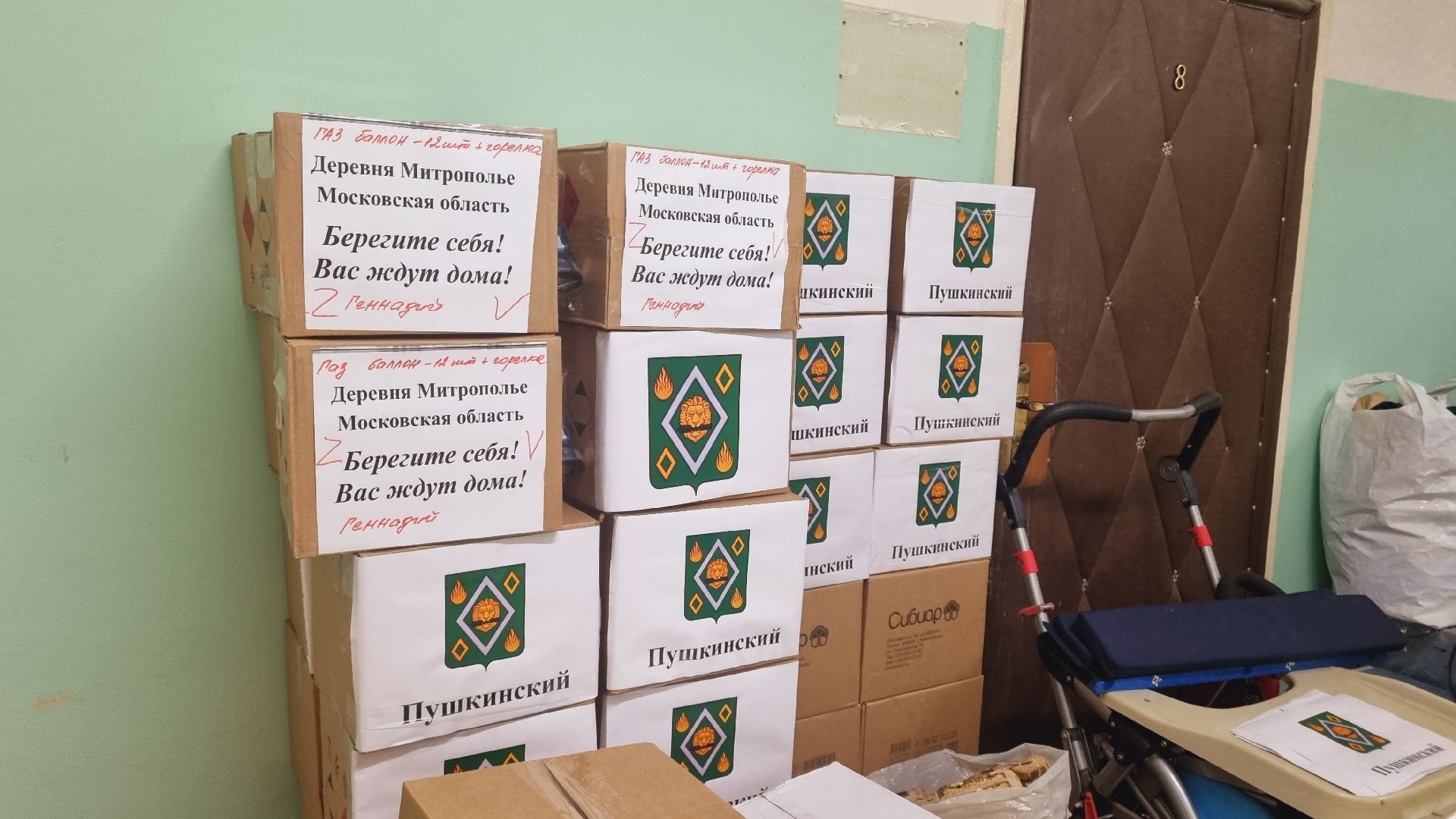 Подмосковье, Городской округ Пушкинский, СВО