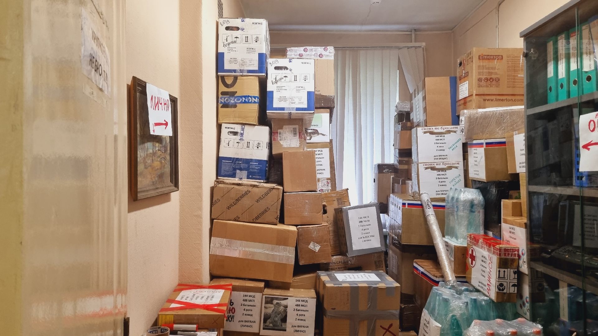 Подмосковье, Городской округ Пушкинский, СВО