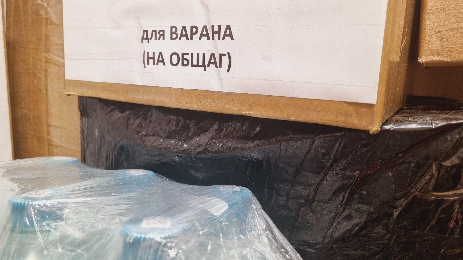 Подмосковье, Городской округ Пушкинский, СВО