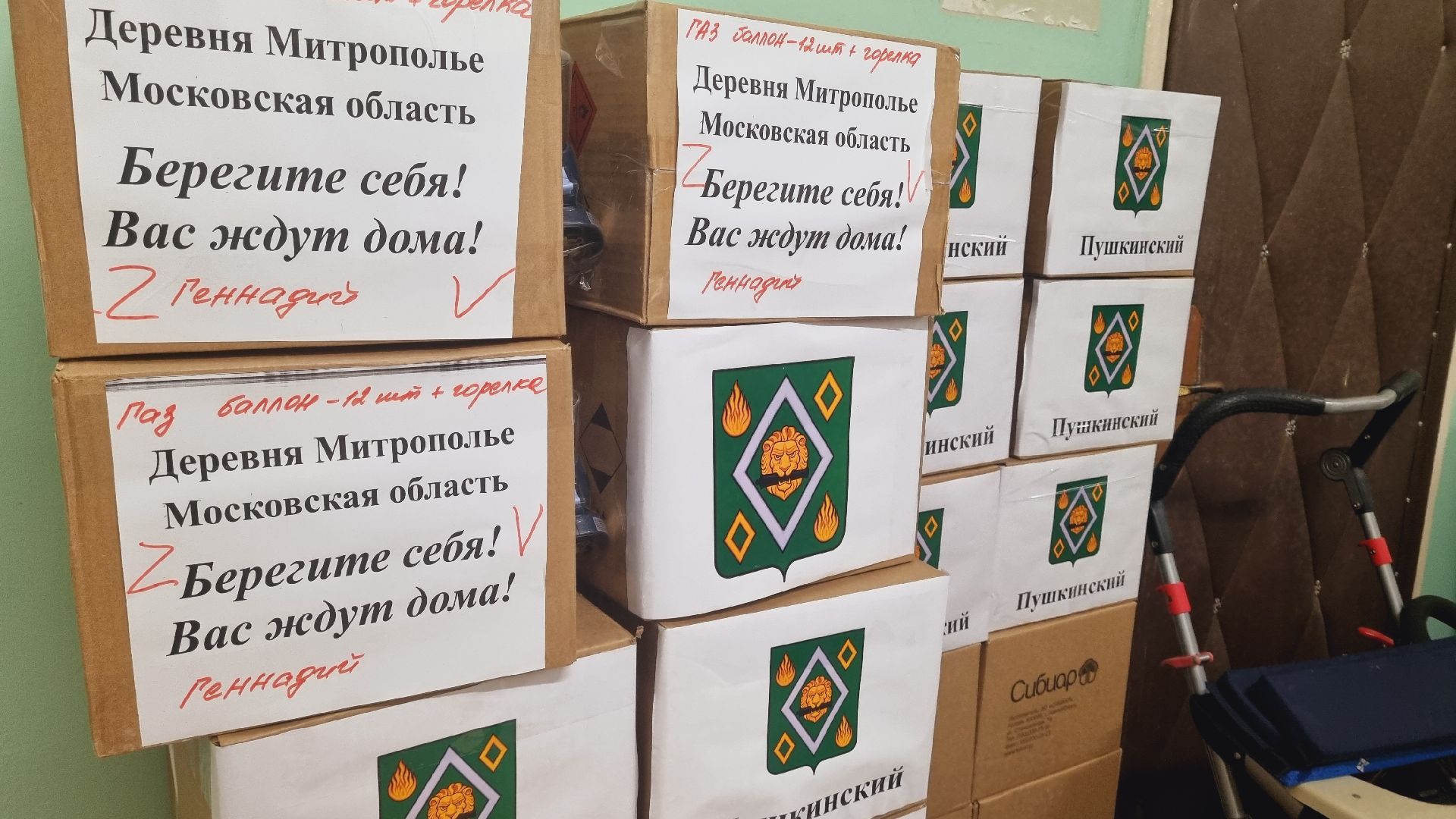 Подмосковье, Городской округ Пушкинский, СВО