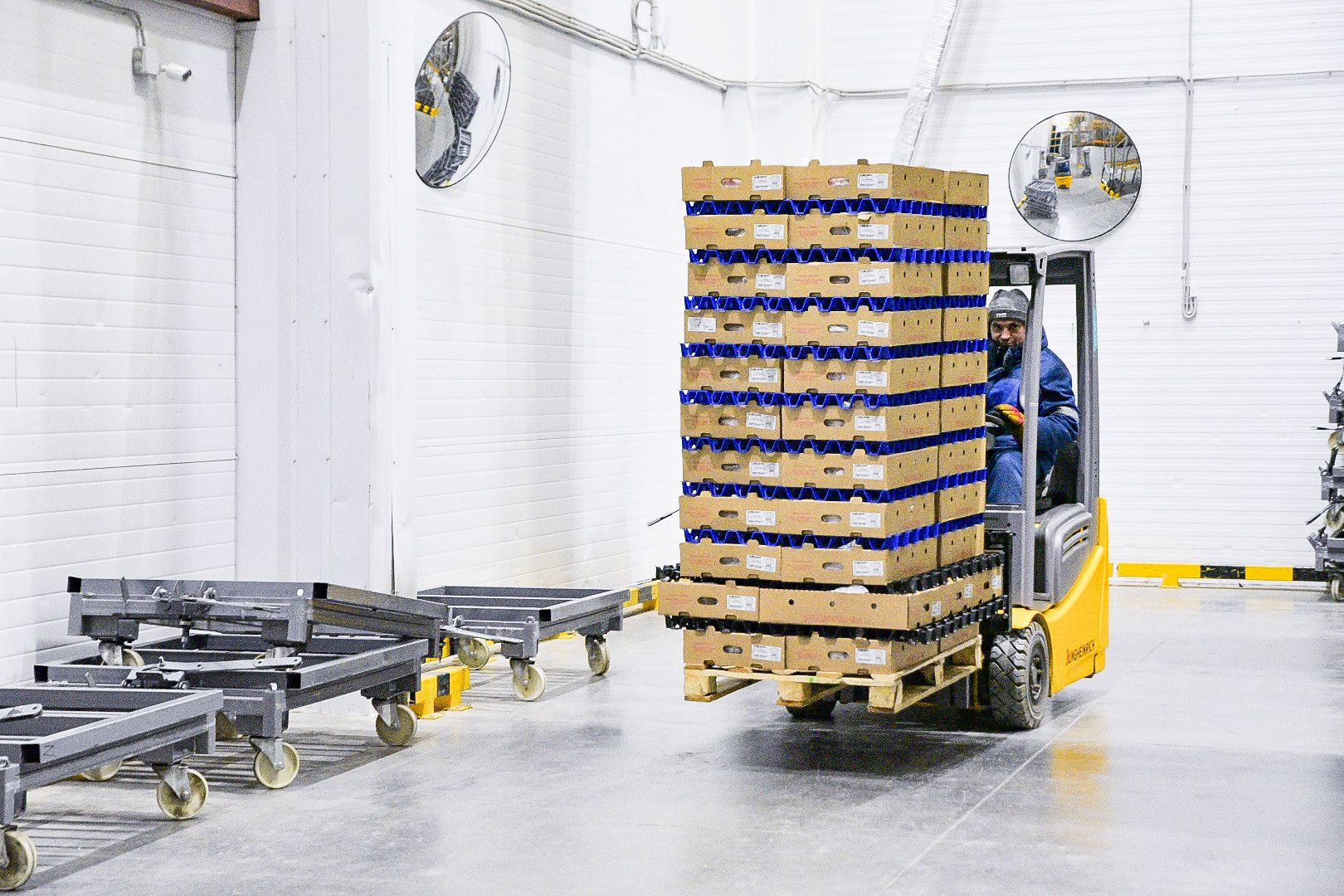 Солнечногорск, предприятие, бизнес, глава, муниципалитет