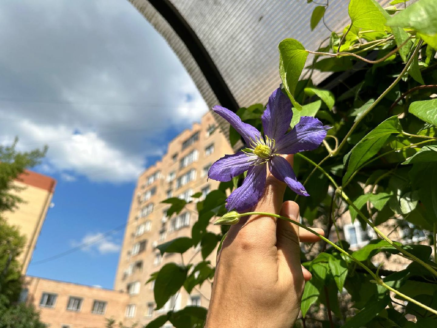 Реутов, благоустройство, сквер, цветы, лавочки, плитка