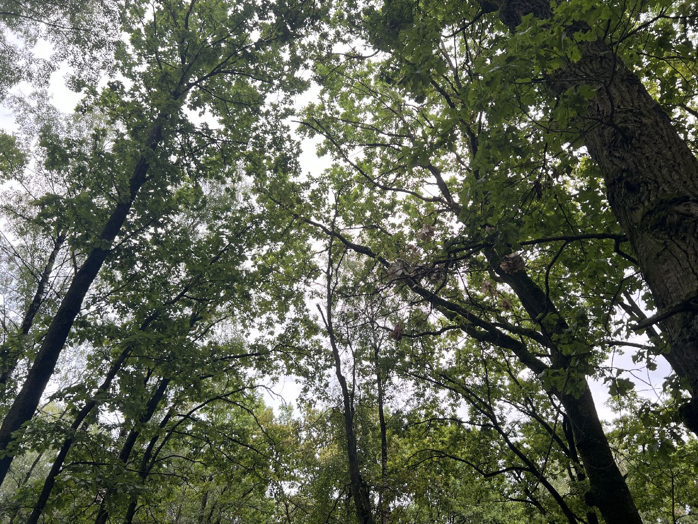 Химки, коммунальные услуги, ЖКХ, экология, МосОблЕИРЦ