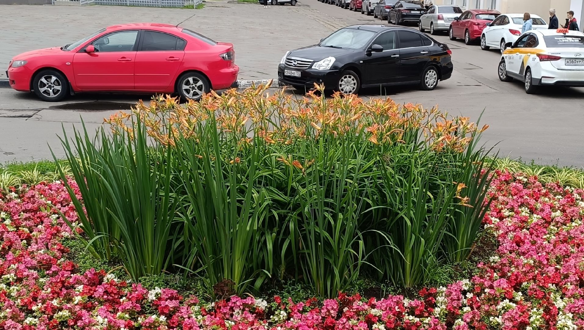 Лобня, благоустройство, парк