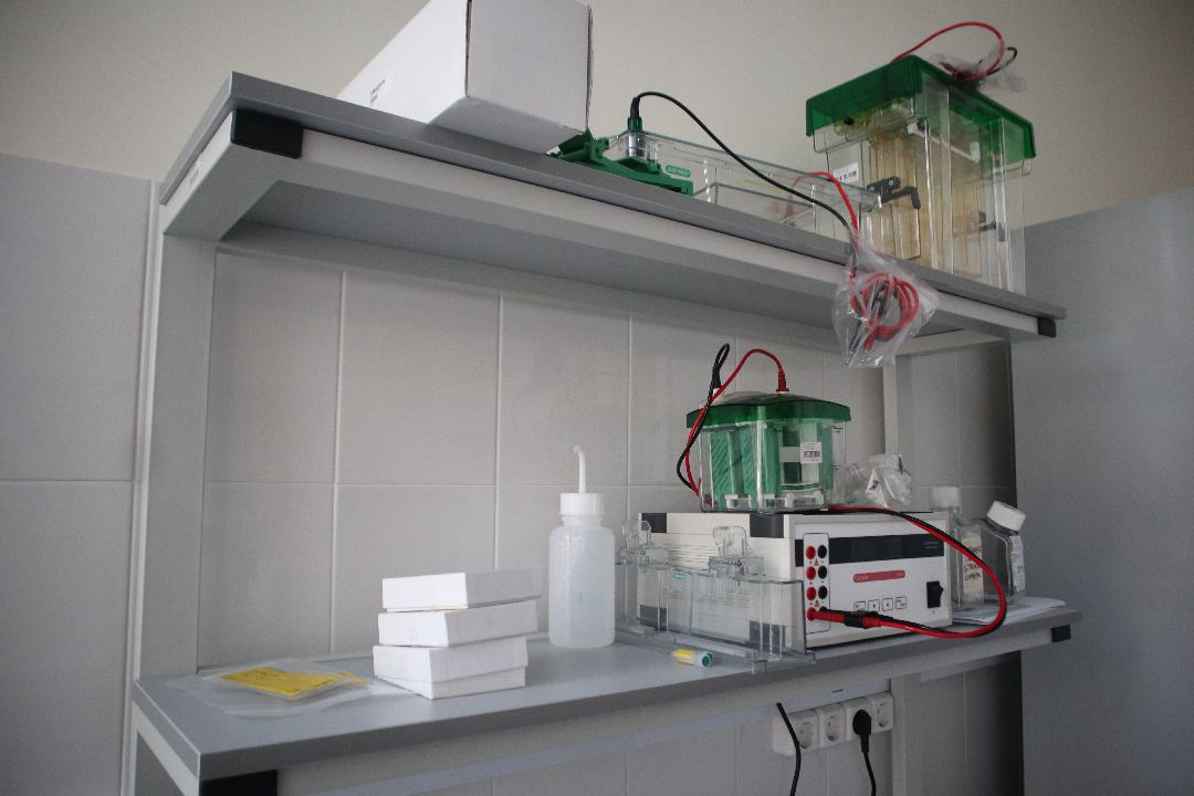 Пущино, Дубна, наука, космос, биология, тераностика, физика, Марс