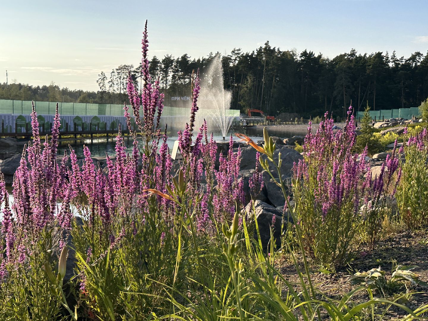 Одинцово, Малевич, Russian Traveler Awards 2023, Парки Подмосковья