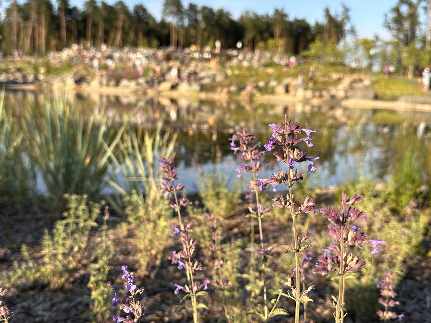 Одинцово, Малевич, Russian Traveler Awards 2023, Парки Подмосковья