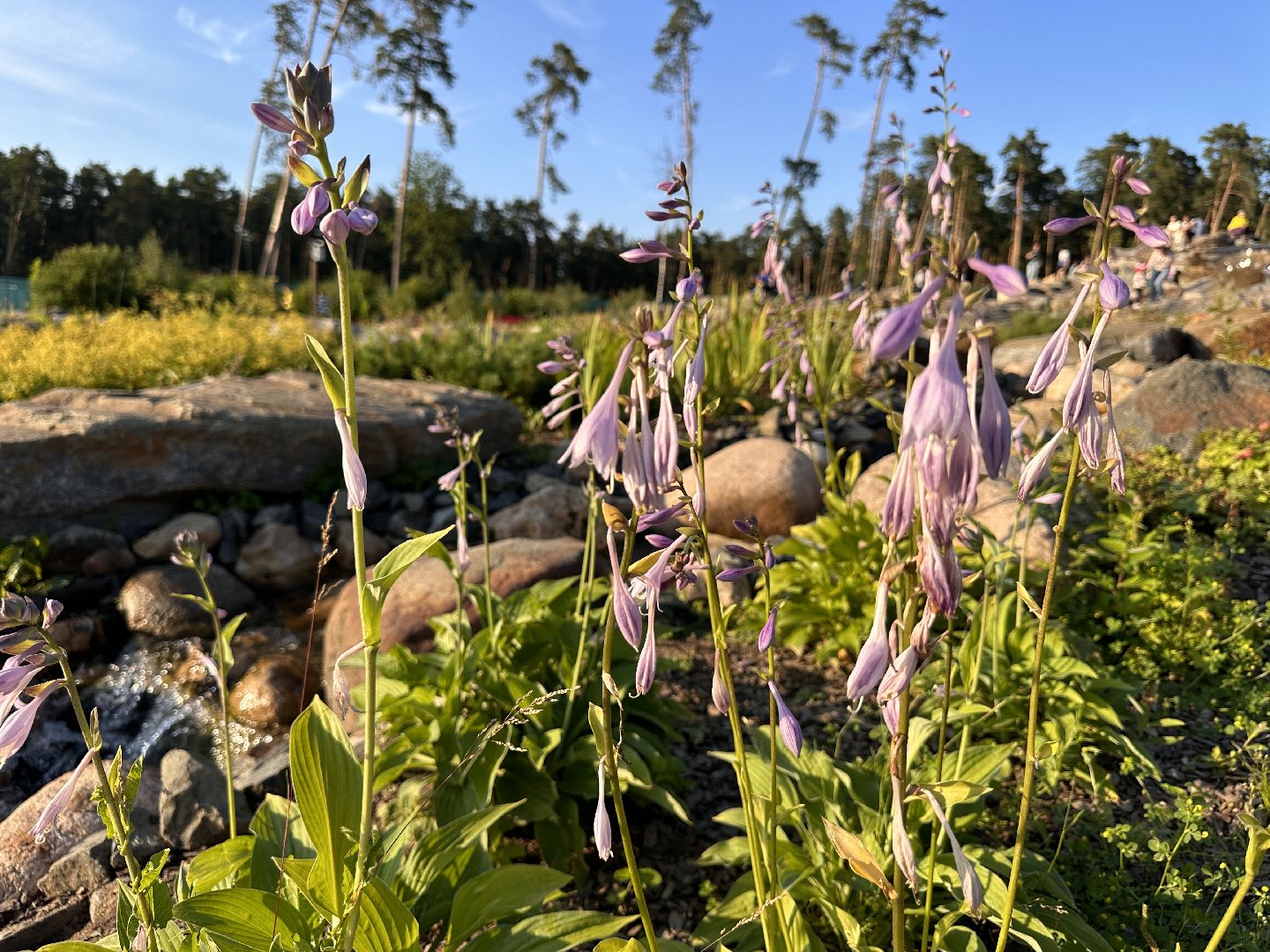 Одинцово, Малевич, Russian Traveler Awards 2023, Парки Подмосковья