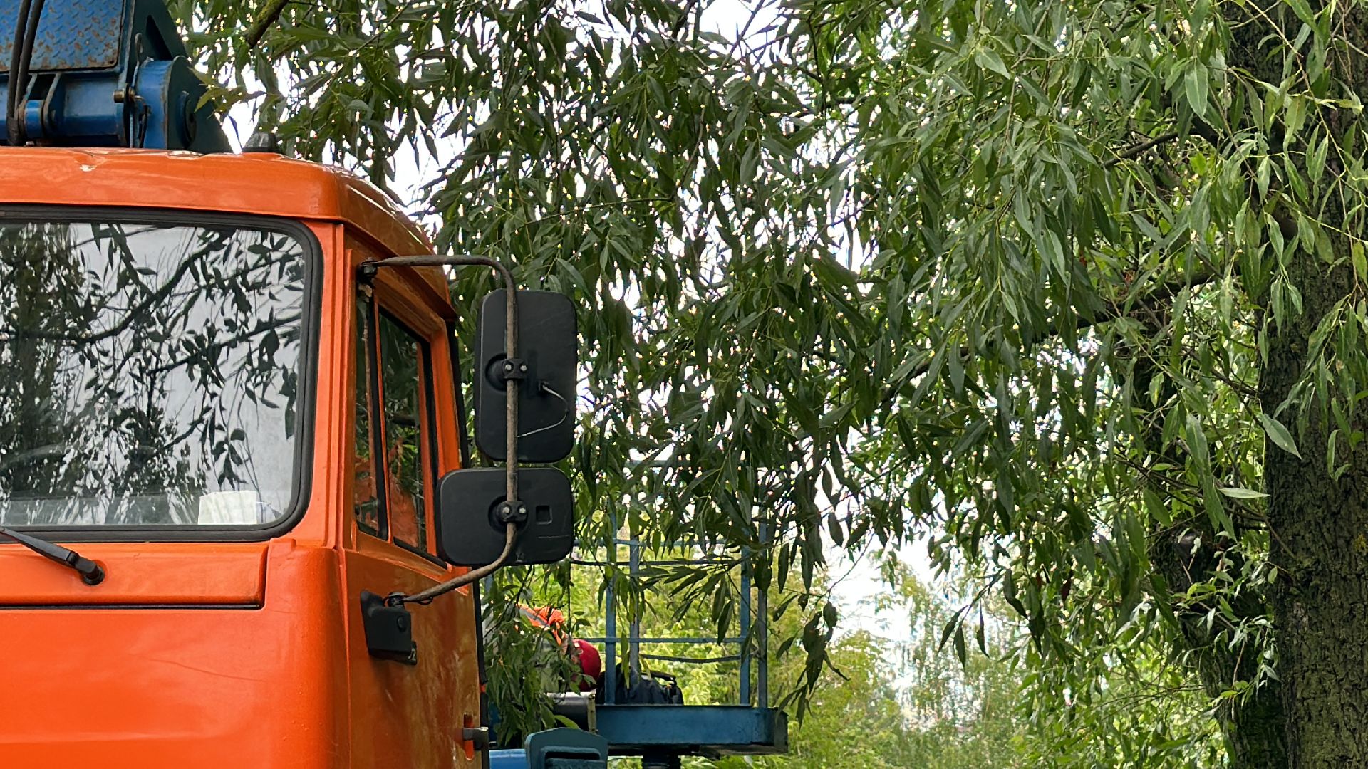 Одинцово, Благоустройство, Непогода, Аварийные деревья