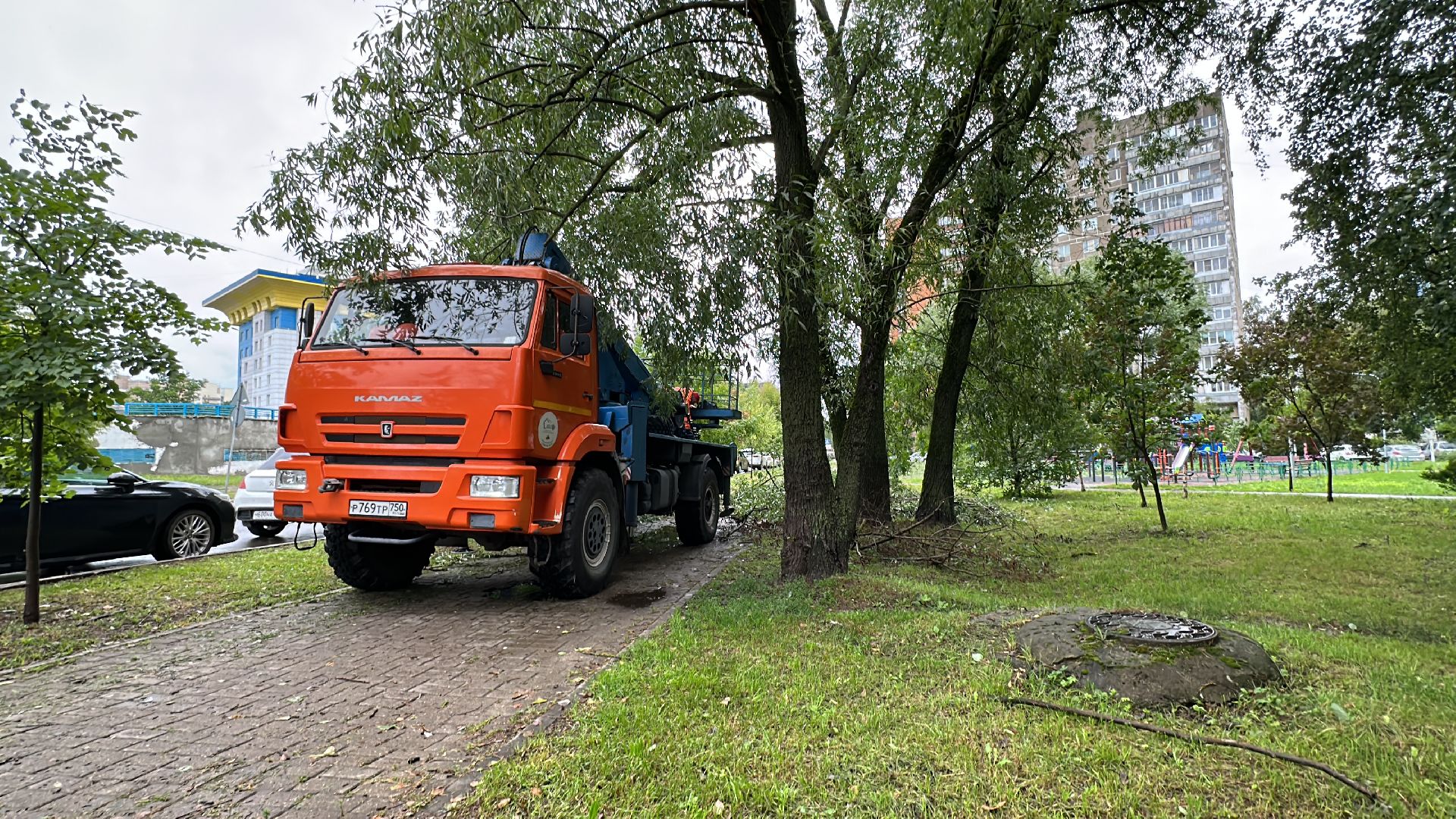 Одинцово, Благоустройство, Непогода, Аварийные деревья