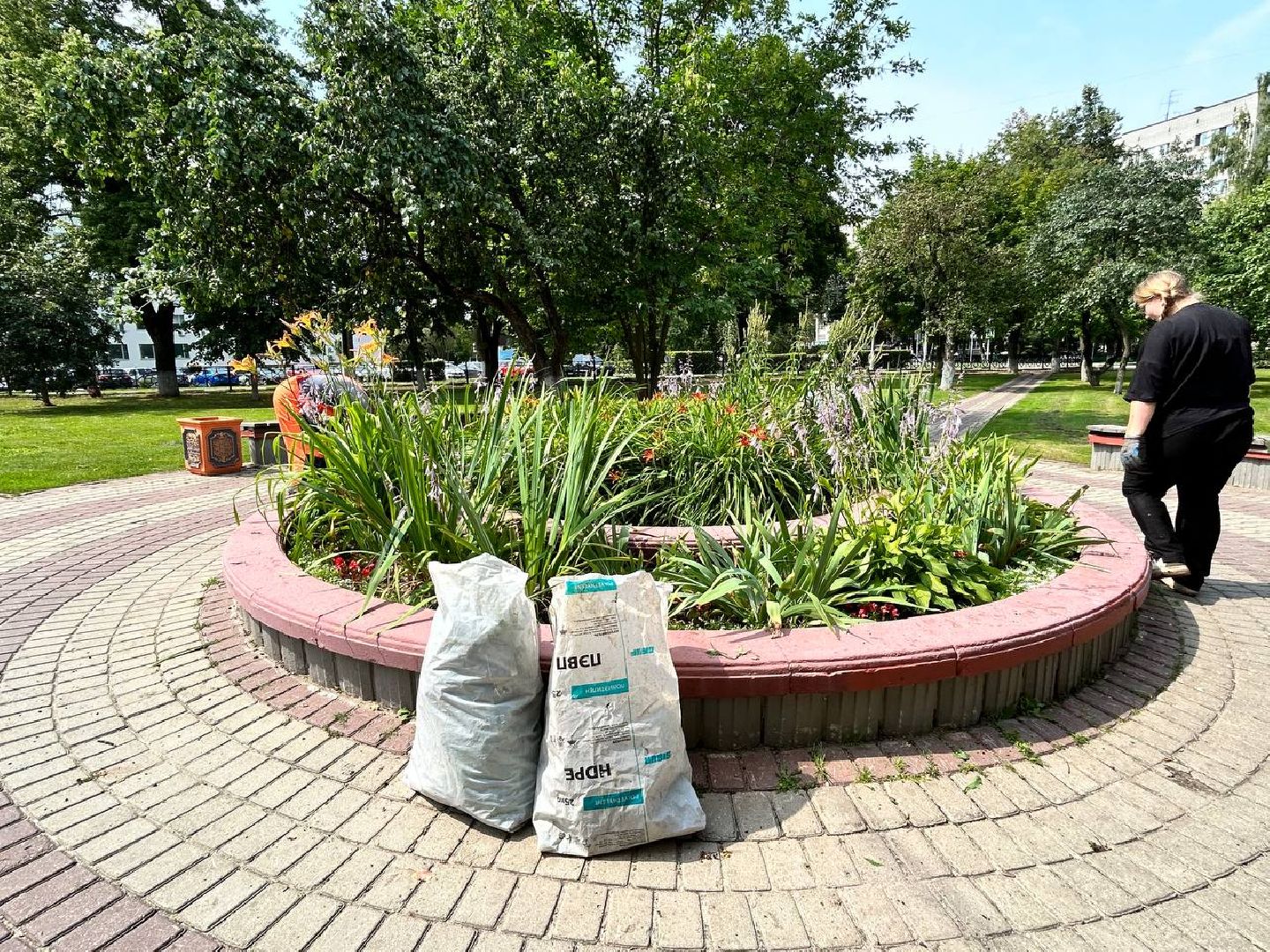 Подольск, подростки, благоустройство, клумбы, цветы, подработка