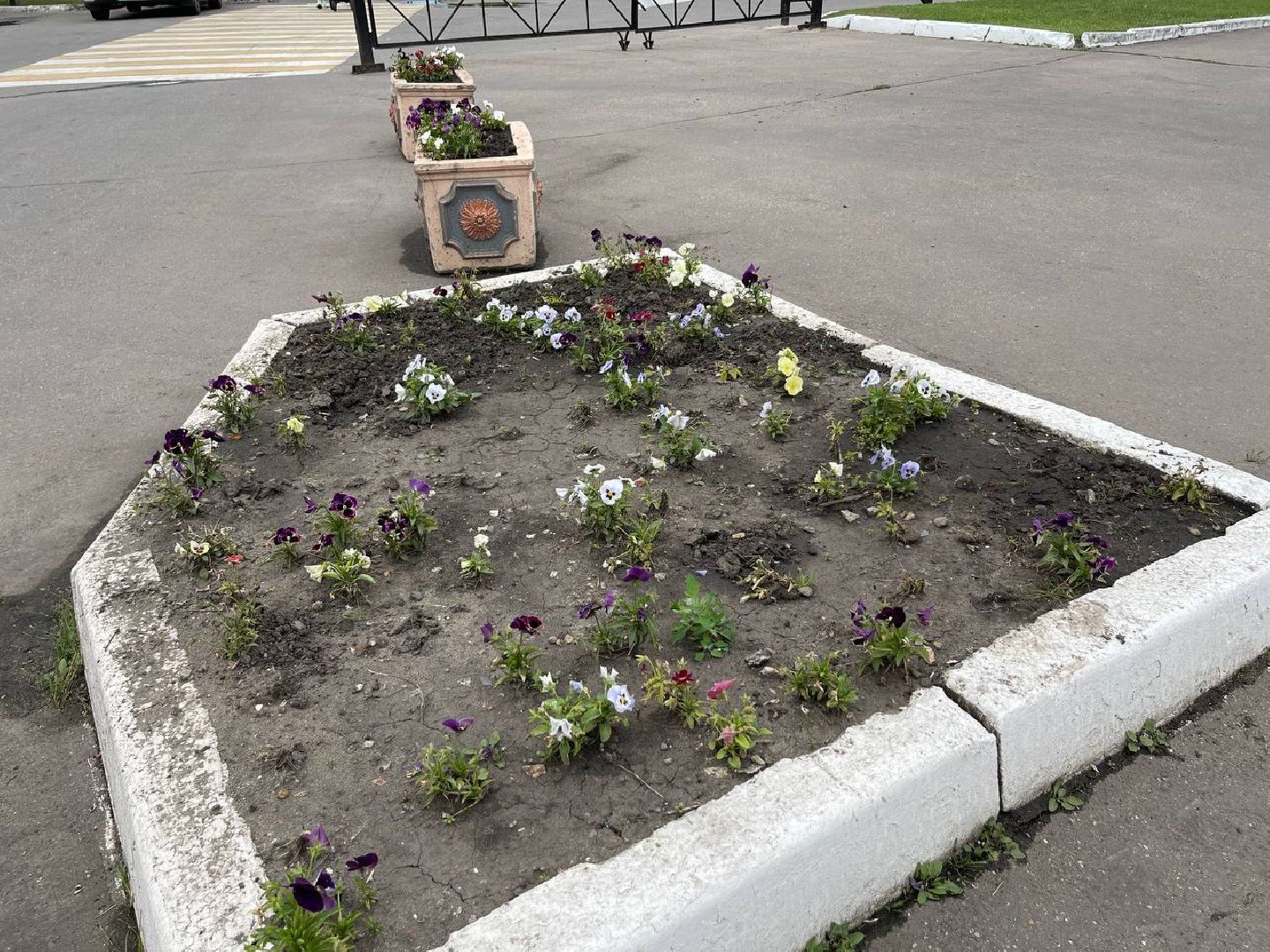 Подольск, подростки, благоустройство, клумбы, цветы, подработка