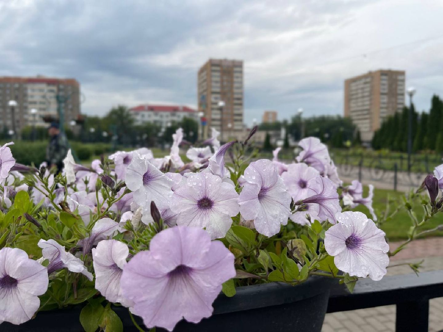 Подольск, подростки, благоустройство, клумбы, цветы, подработка