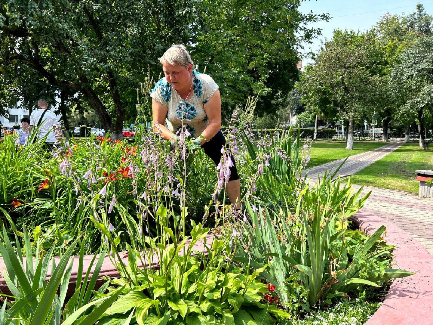 Подольск, подростки, благоустройство, клумбы, цветы, подработка