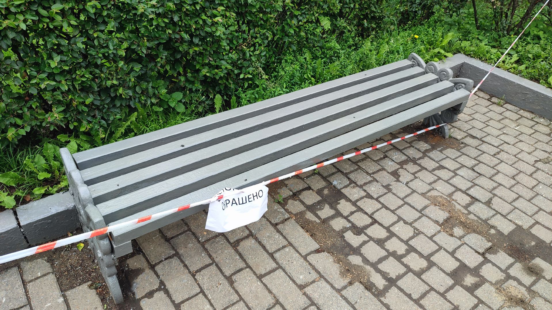 Кашира, Пушкинский сквер, благоустройство, газоны, цветы