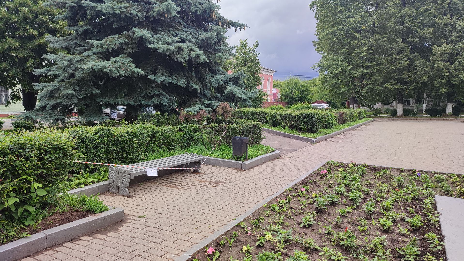 Кашира, Пушкинский сквер, благоустройство, газоны, цветы