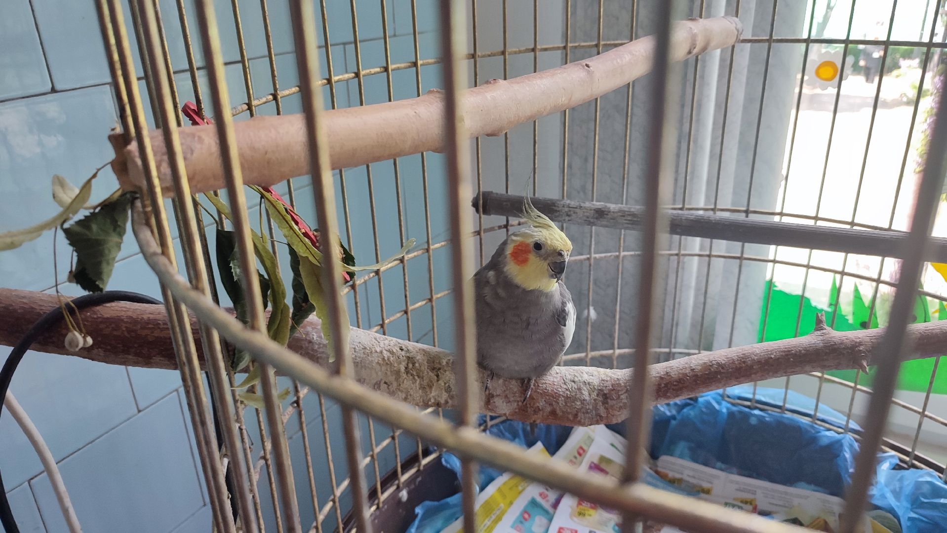 Кашира, детский экологический центр, летний лагерь, отдых, экология