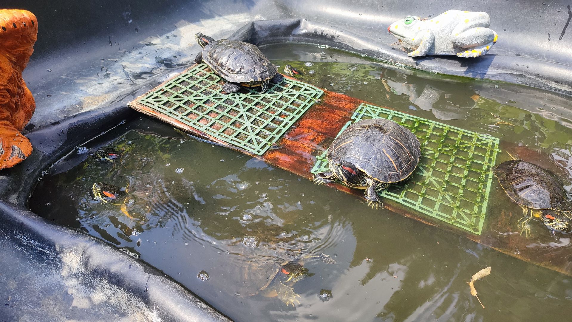 Кашира, детский экологический центр, летний лагерь, отдых, экология