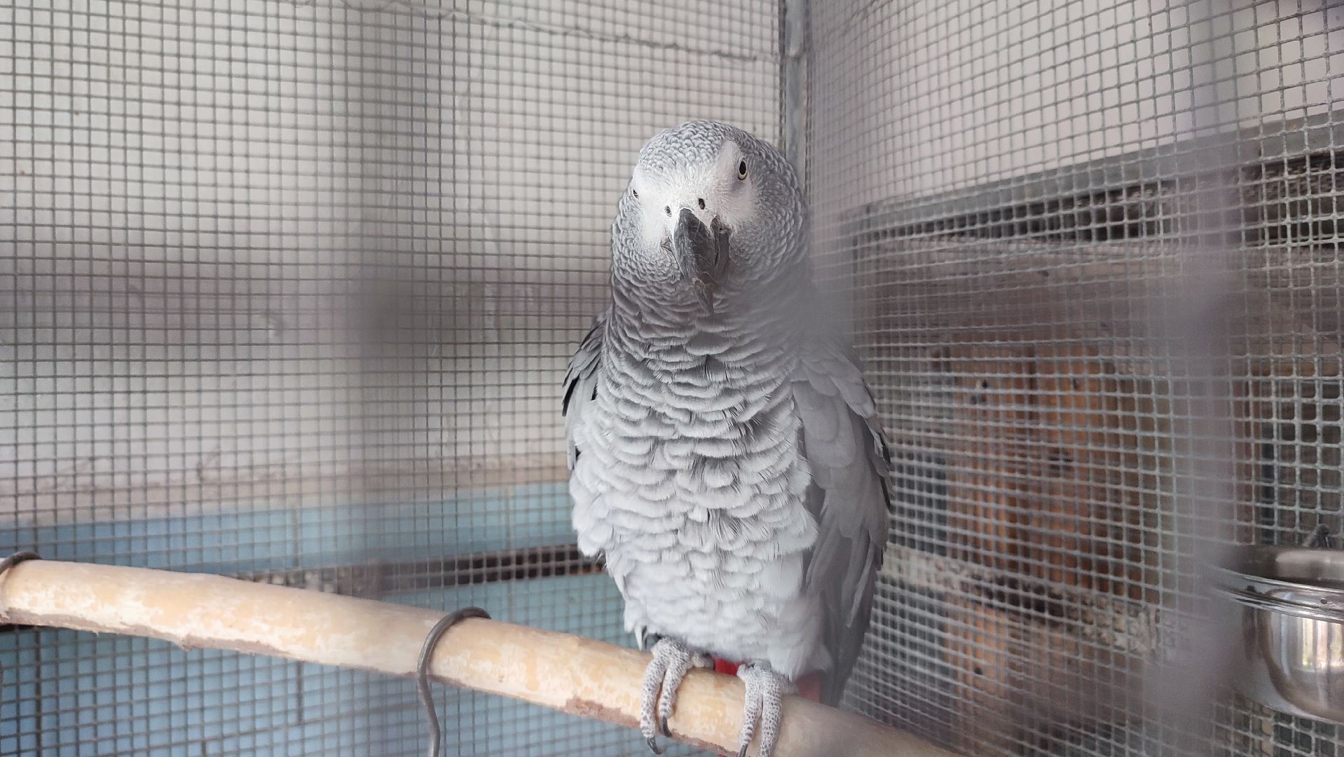 Кашира, детский экологический центр, летний лагерь, отдых, экология