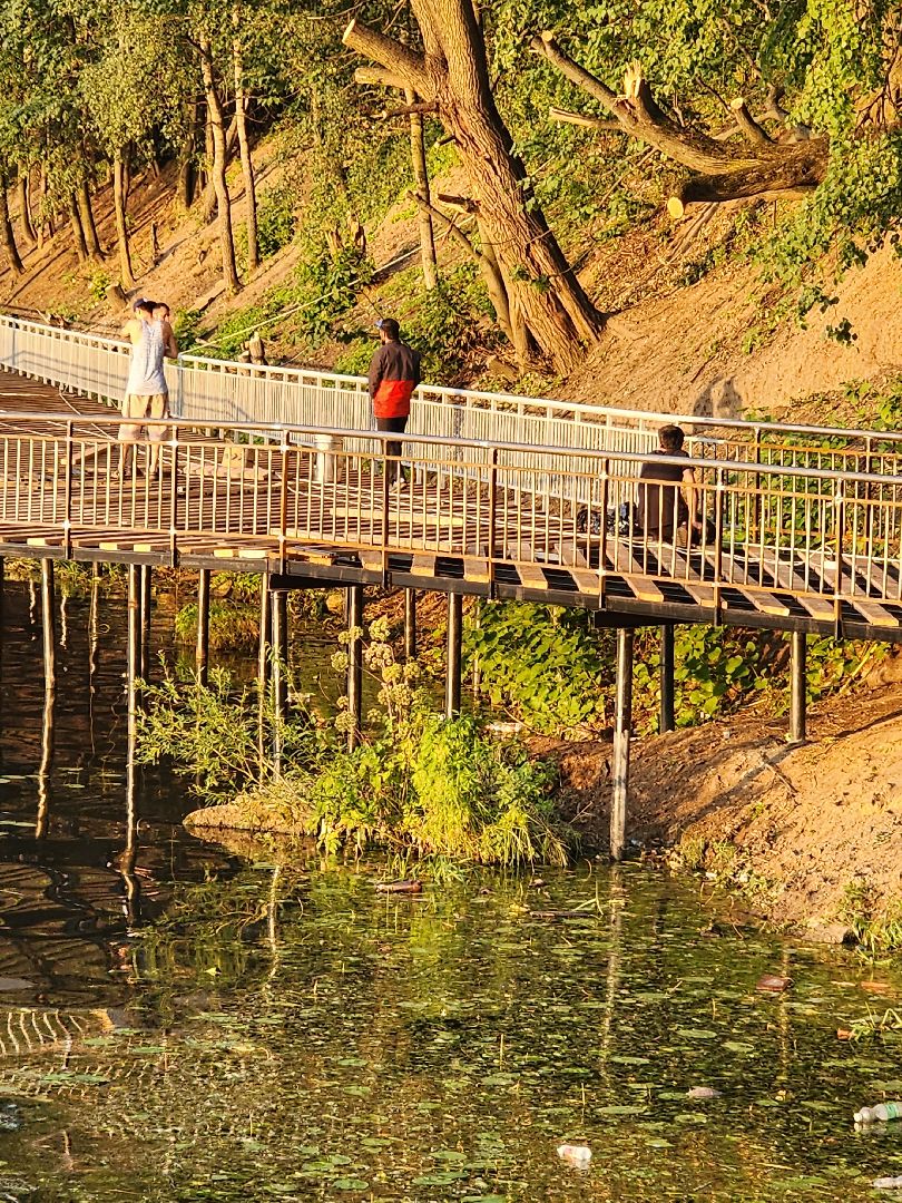 Долгопрудный, набережная, Котовский залив, амфитеатр, парапет