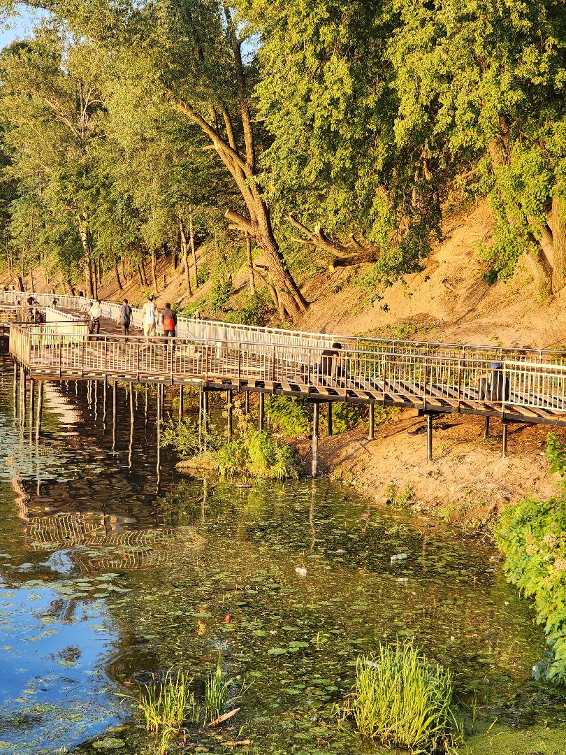 Долгопрудный, набережная, Котовский залив, амфитеатр, парапет