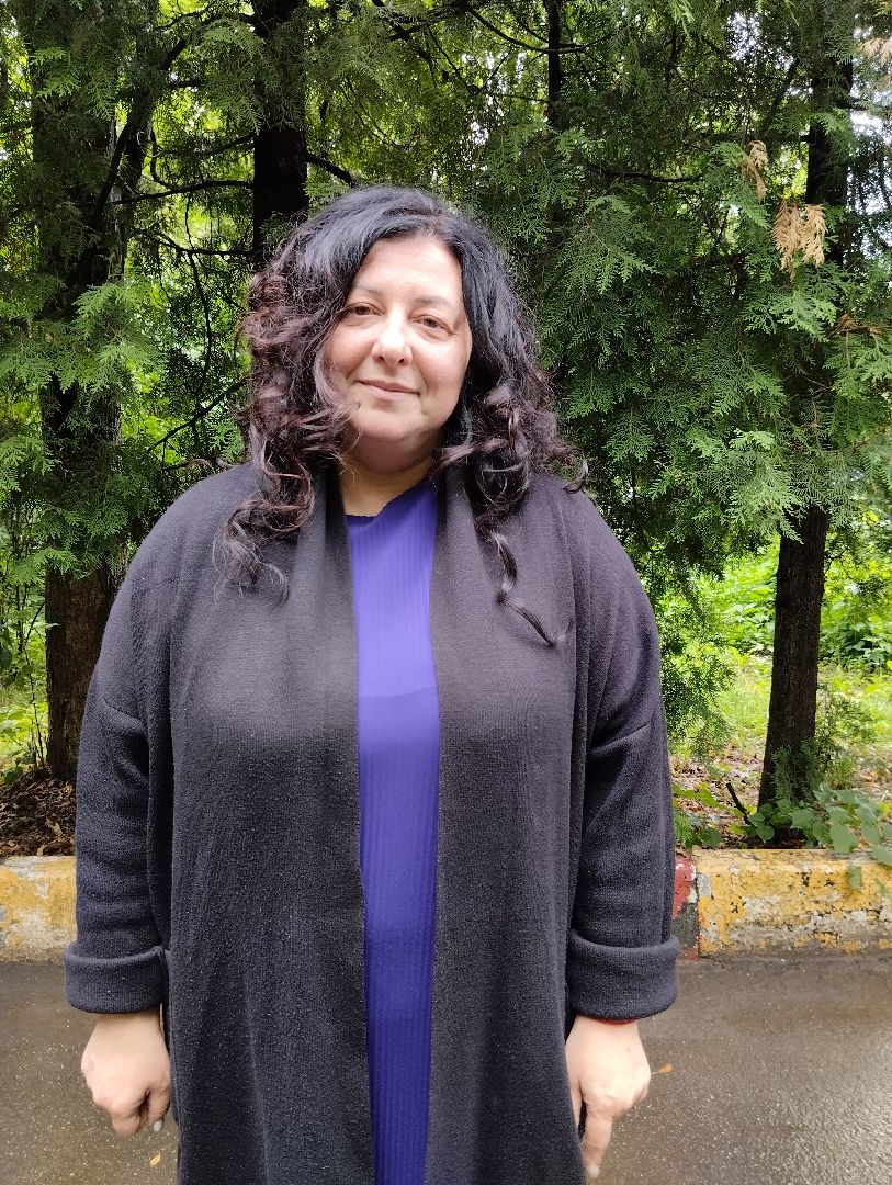 Выборы, избирательная система, губернатор, Ногинск, Богородский городской округ