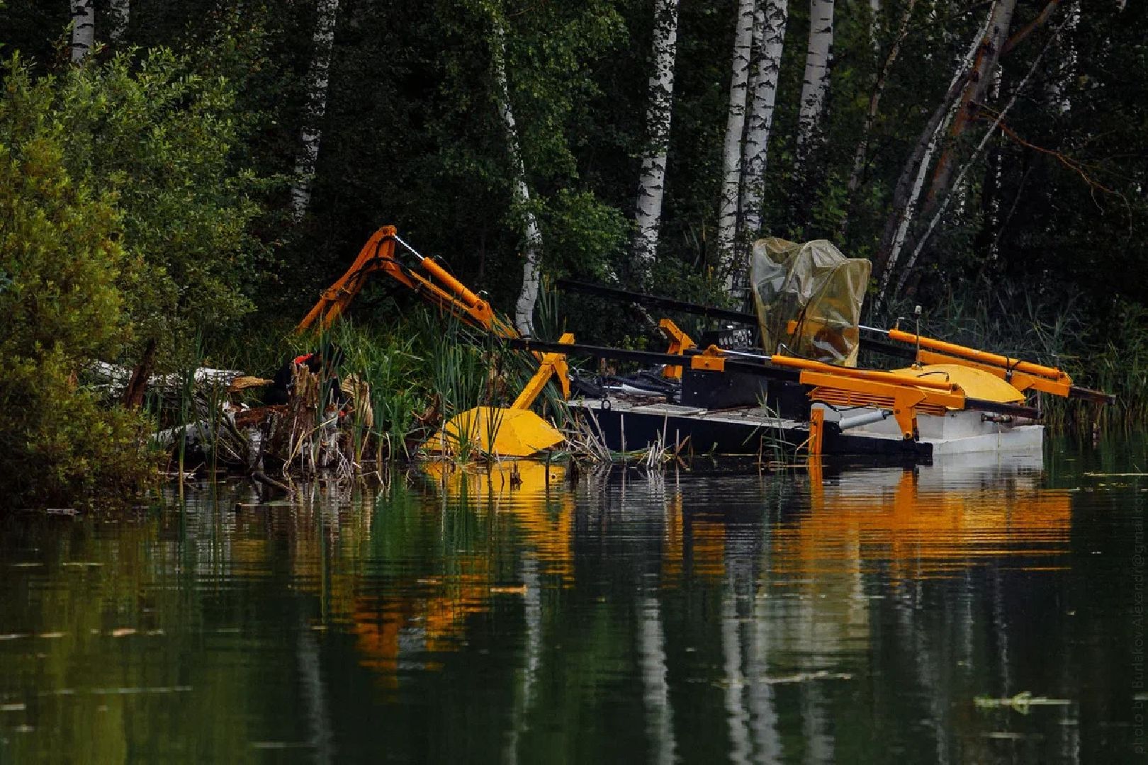 Озеро, очистка, благоустройство, техника, программа губернатора, Орехово-Зуево
