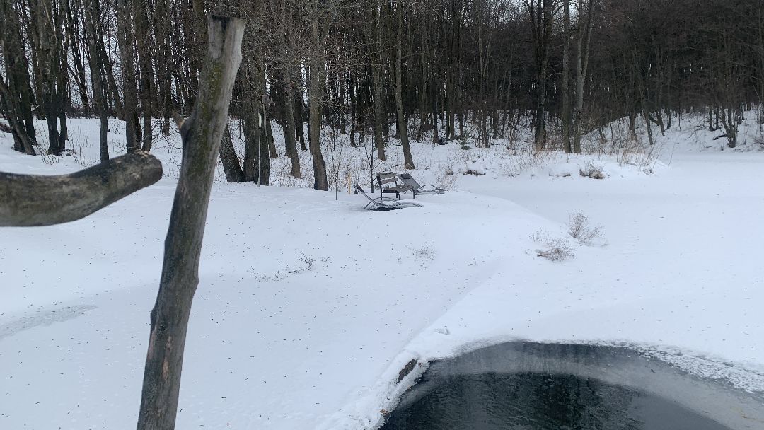 Ступино, общество