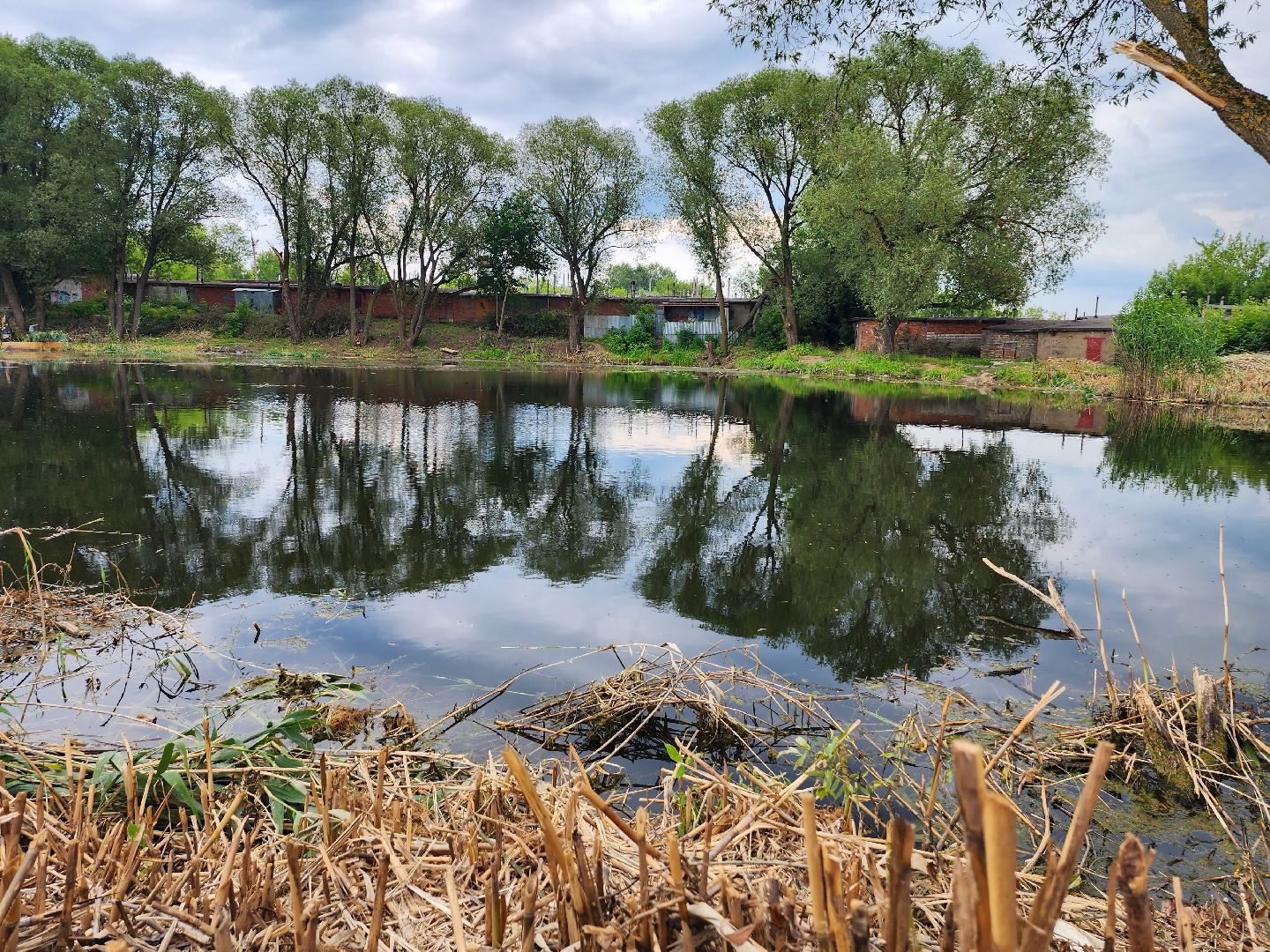 пруд, водоем, ильинский пруд, очистка пруда, экология, зона отдыха, серпухов,