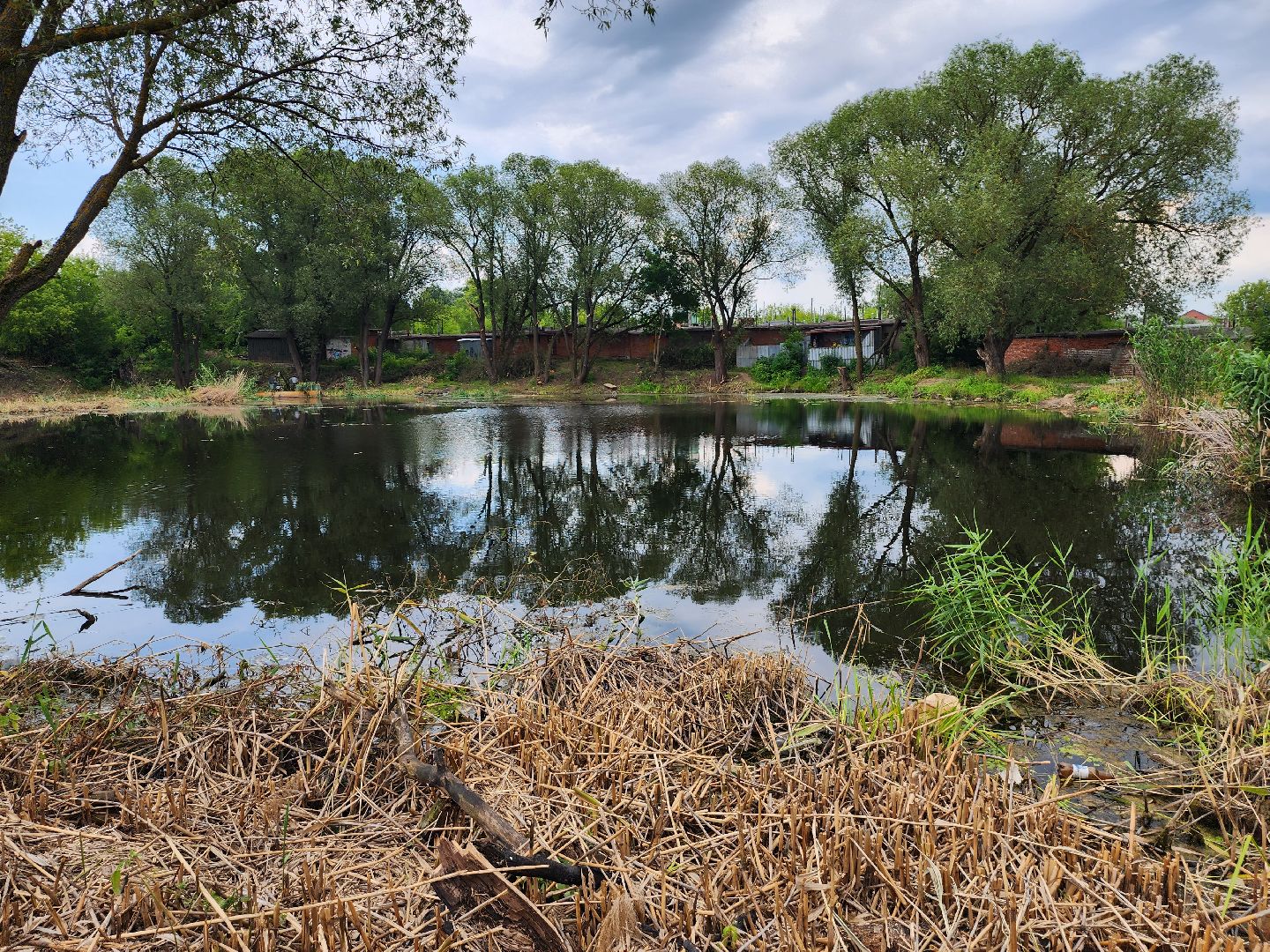 пруд, водоем, ильинский пруд, очистка пруда, экология, зона отдыха, серпухов,