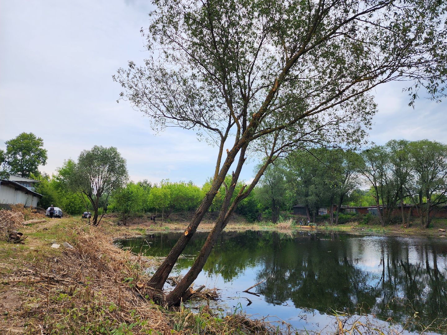 пруд, водоем, ильинский пруд, очистка пруда, экология, зона отдыха, серпухов,