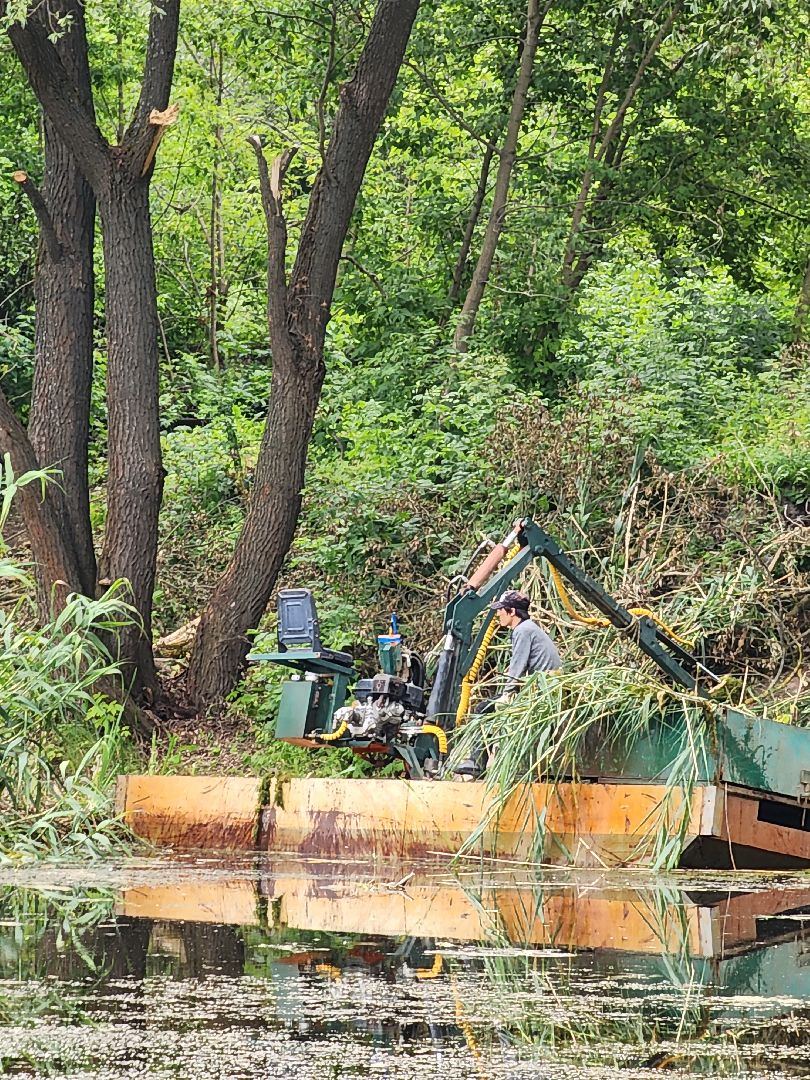 пруд, водоем, ильинский пруд, очистка пруда, экология, зона отдыха, серпухов,
