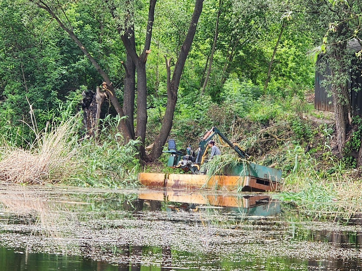 пруд, водоем, ильинский пруд, очистка пруда, экология, зона отдыха, серпухов,