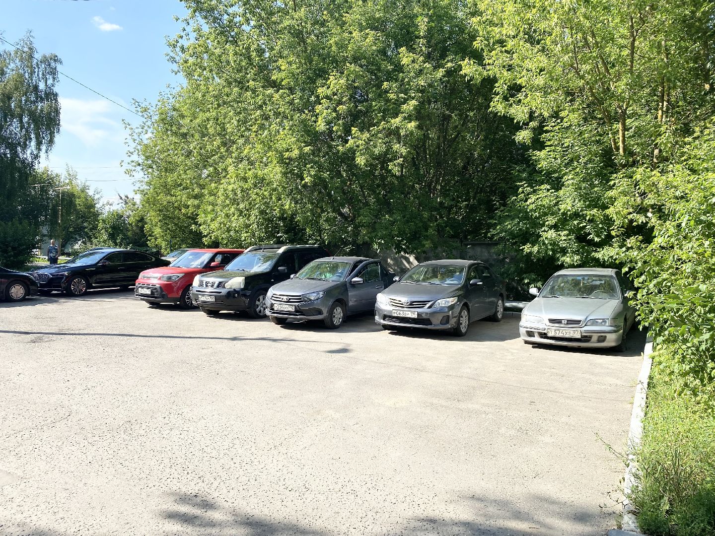 Домодедово, добродел, жалобы жителей, свалка мусора, вывоз мусора, коммунальные службы