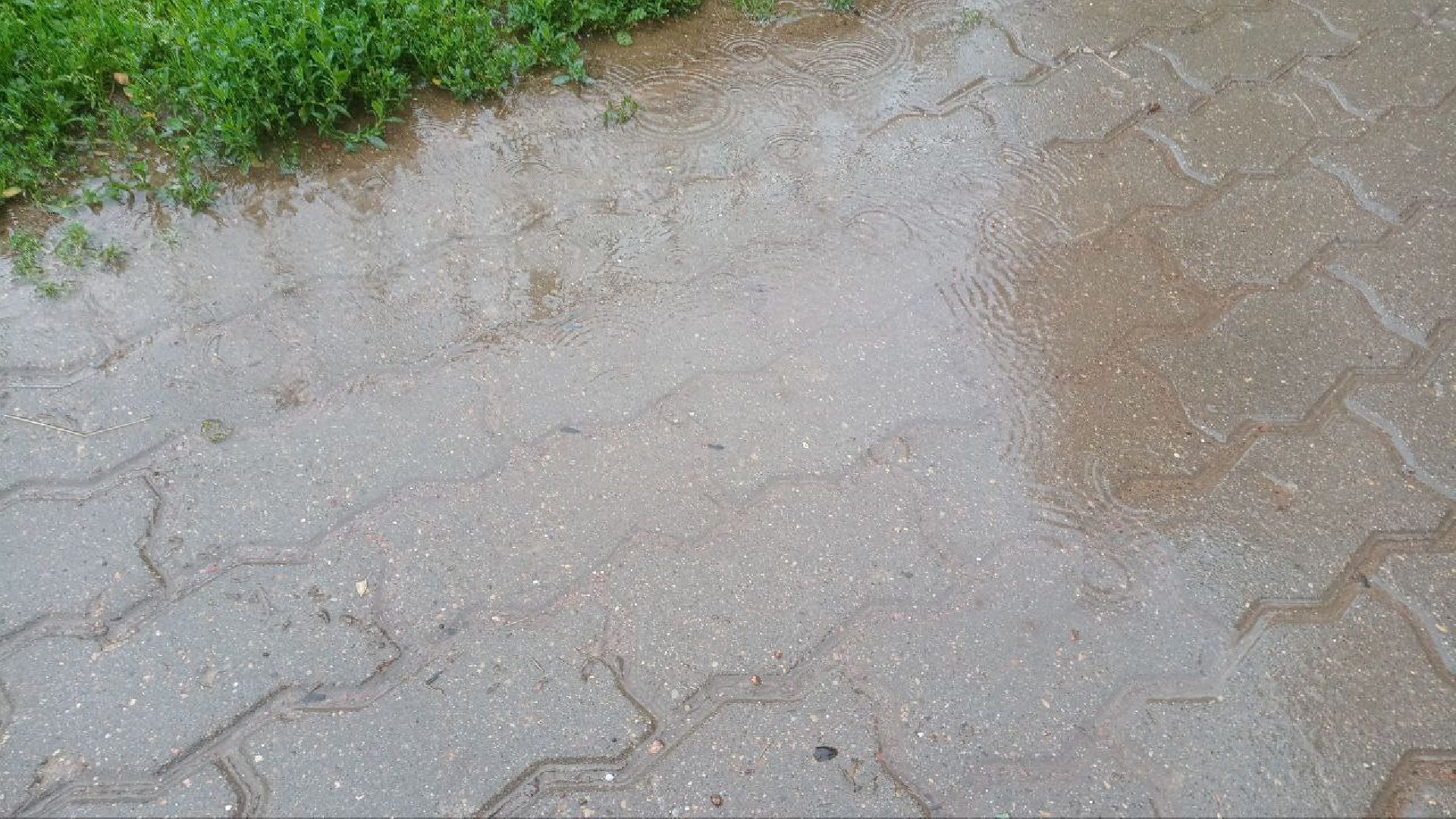 Реутов, непогода, дожди, деревья