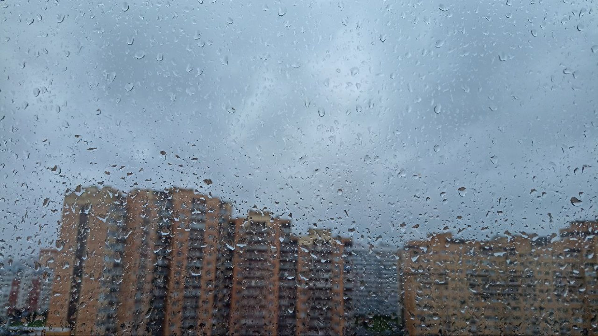 Реутов, непогода, дожди, деревья