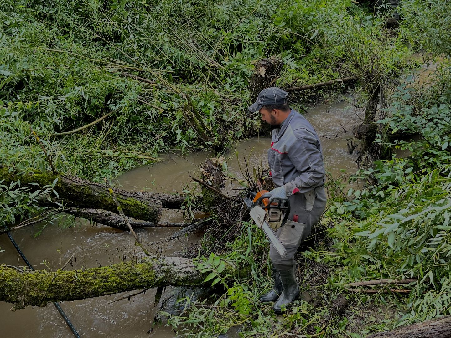 Наро-Фоминский городской округ, экология, чистое Подмосковье, непогода, субботник