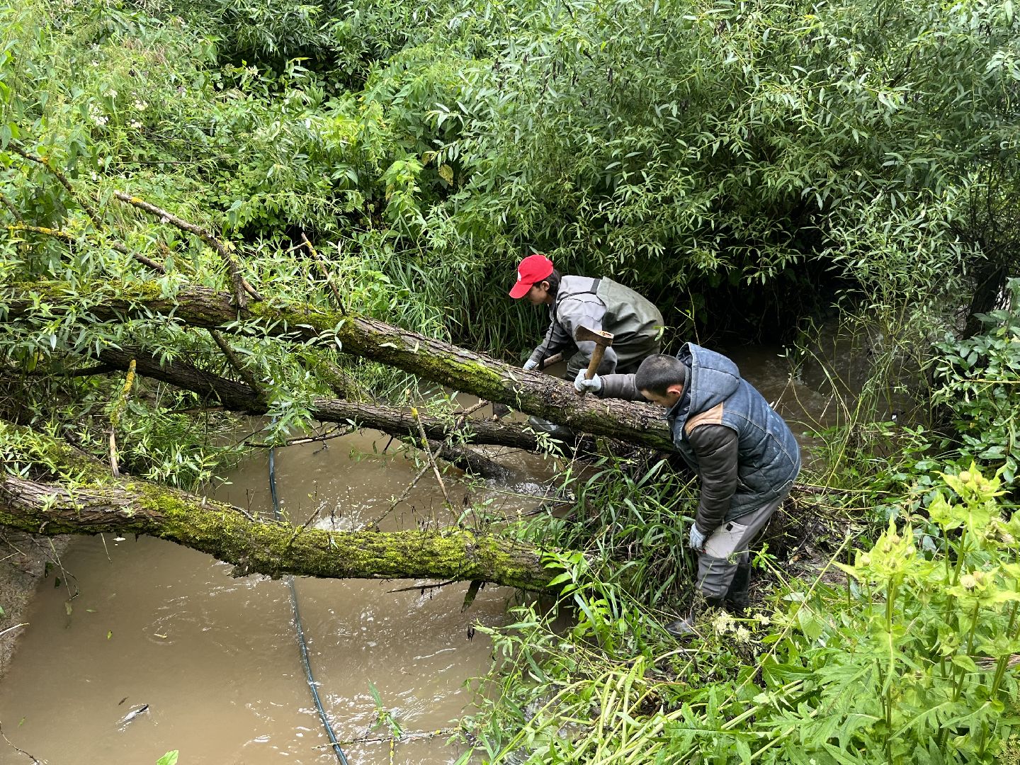 Наро-Фоминский городской округ, экология, чистое Подмосковье, непогода, субботник