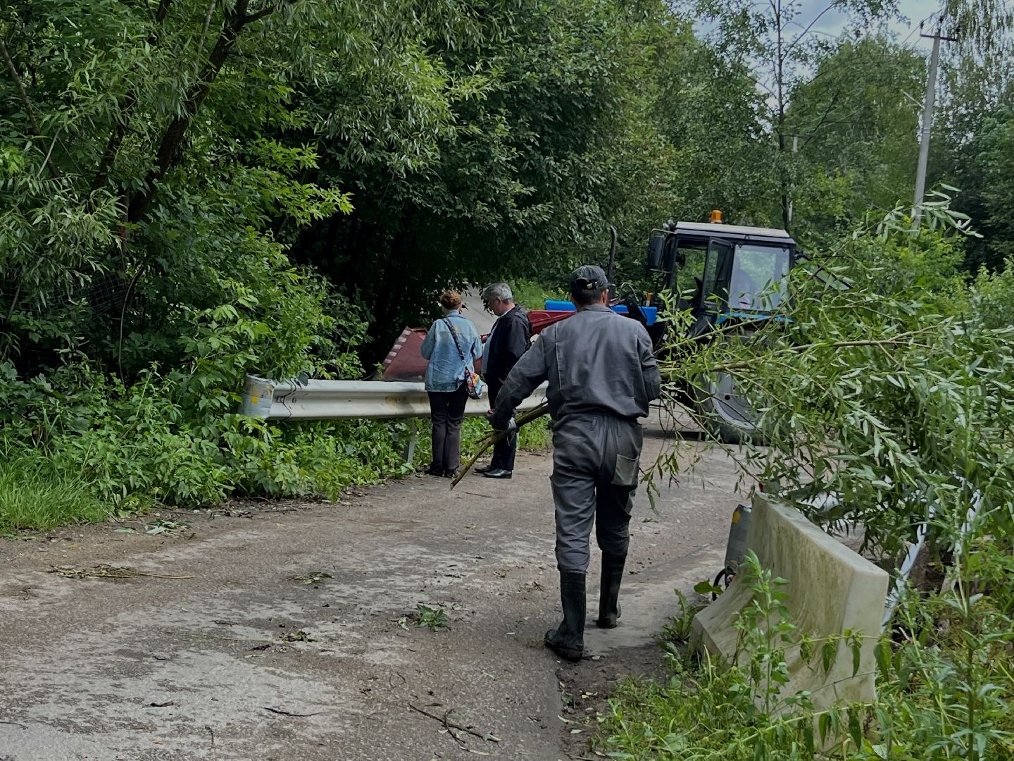 Наро-Фоминский городской округ, экология, чистое Подмосковье, непогода, субботник