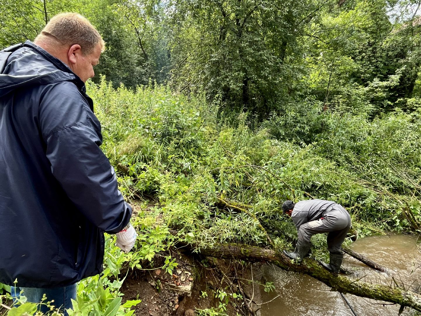 Наро-Фоминский городской округ, экология, чистое Подмосковье, непогода, субботник