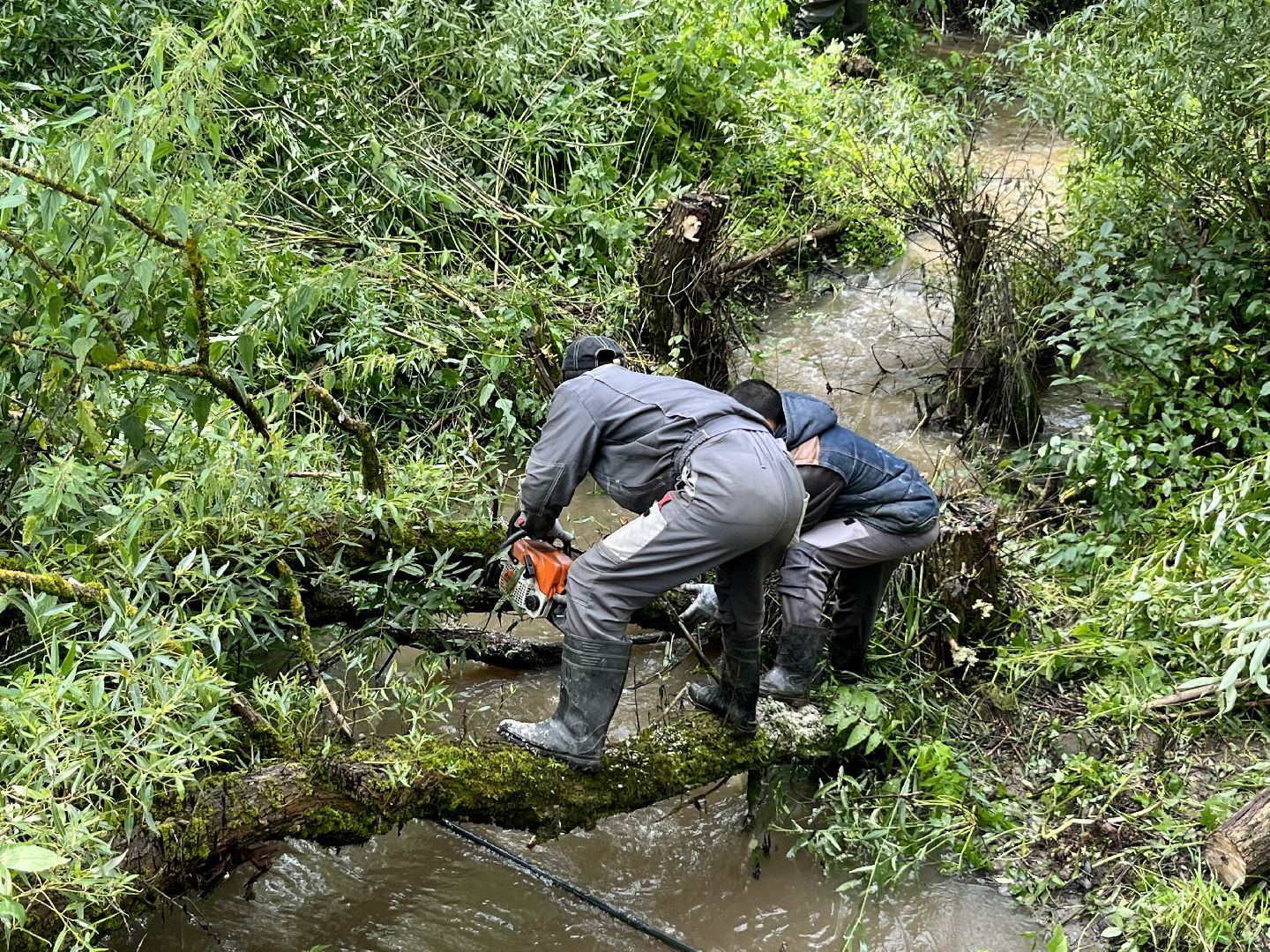 Наро-Фоминский городской округ, экология, чистое Подмосковье, непогода, субботник