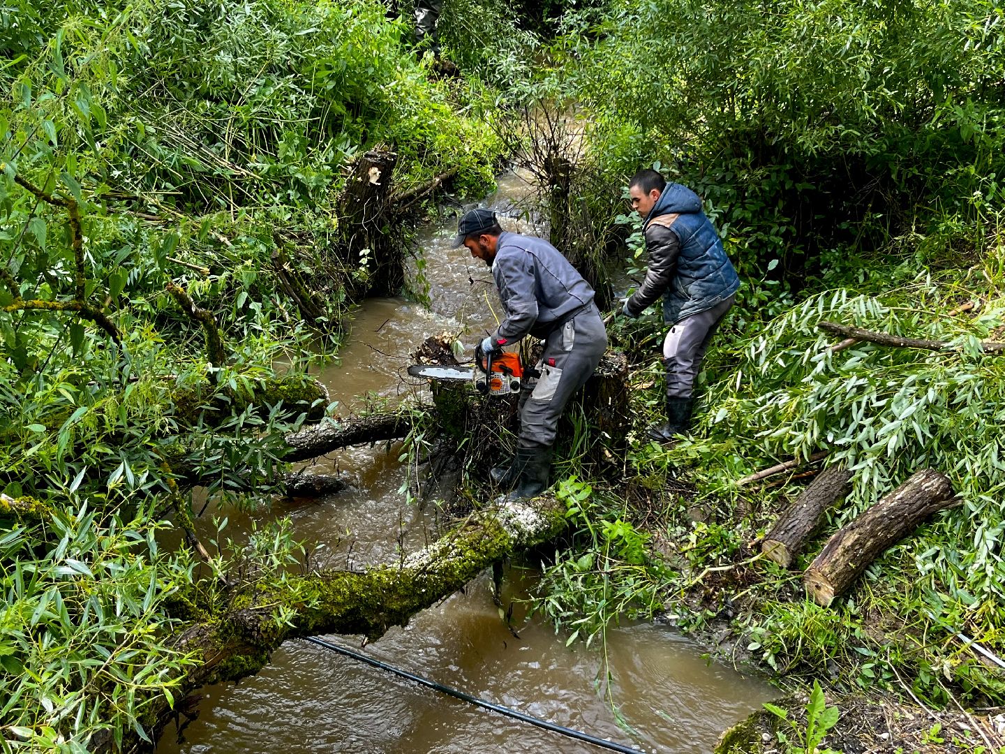 Наро-Фоминский городской округ, экология, чистое Подмосковье, непогода, субботник