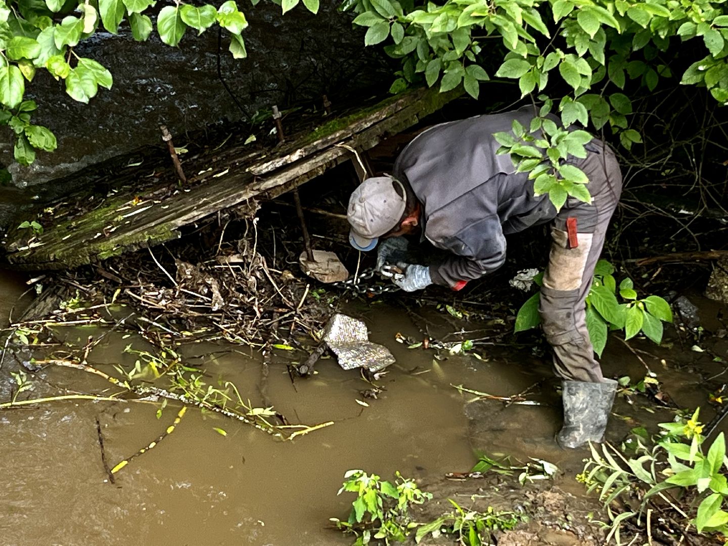 Наро-Фоминский городской округ, экология, чистое Подмосковье, непогода, субботник