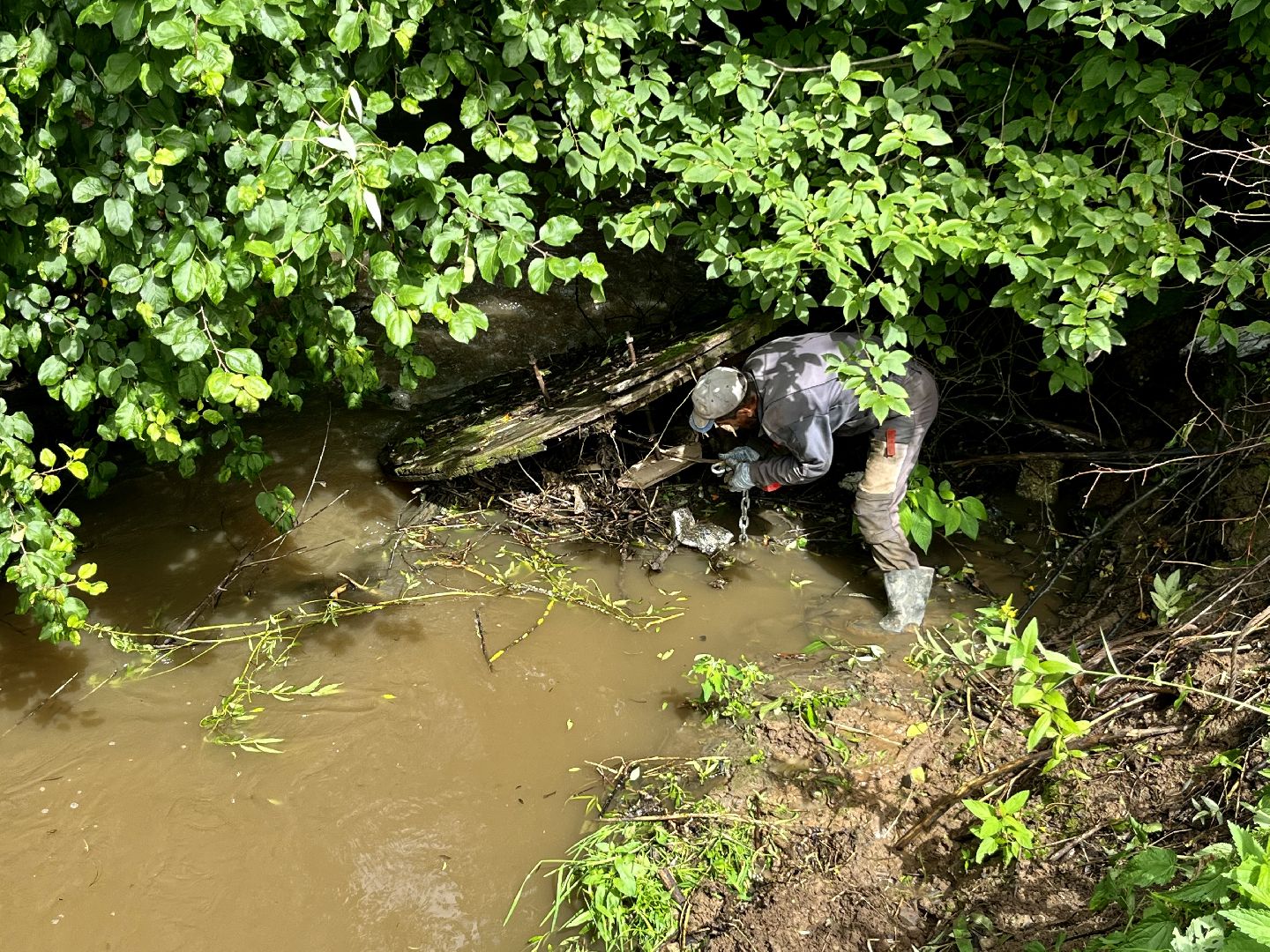 Наро-Фоминский городской округ, экология, чистое Подмосковье, непогода, субботник