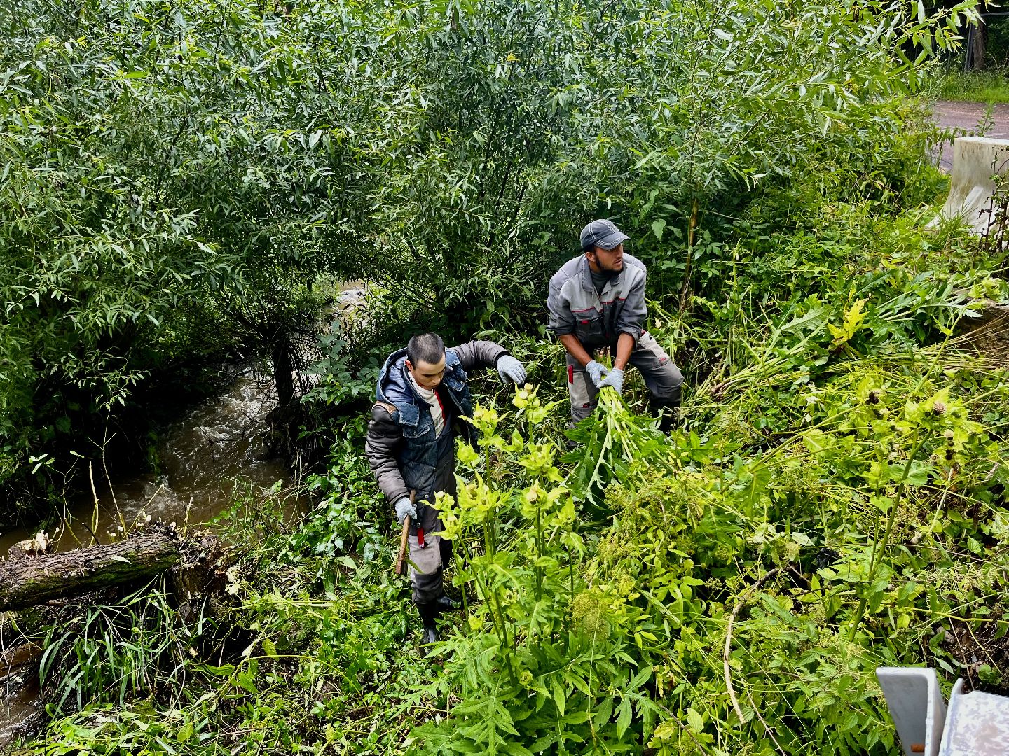 Наро-Фоминский городской округ, экология, чистое Подмосковье, непогода, субботник