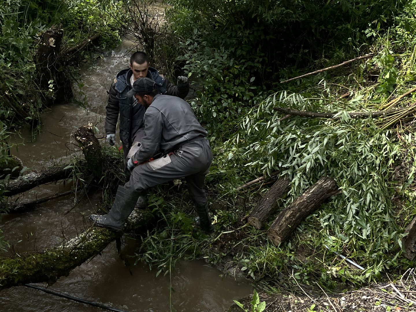 Наро-Фоминский городской округ, экология, чистое Подмосковье, непогода, субботник