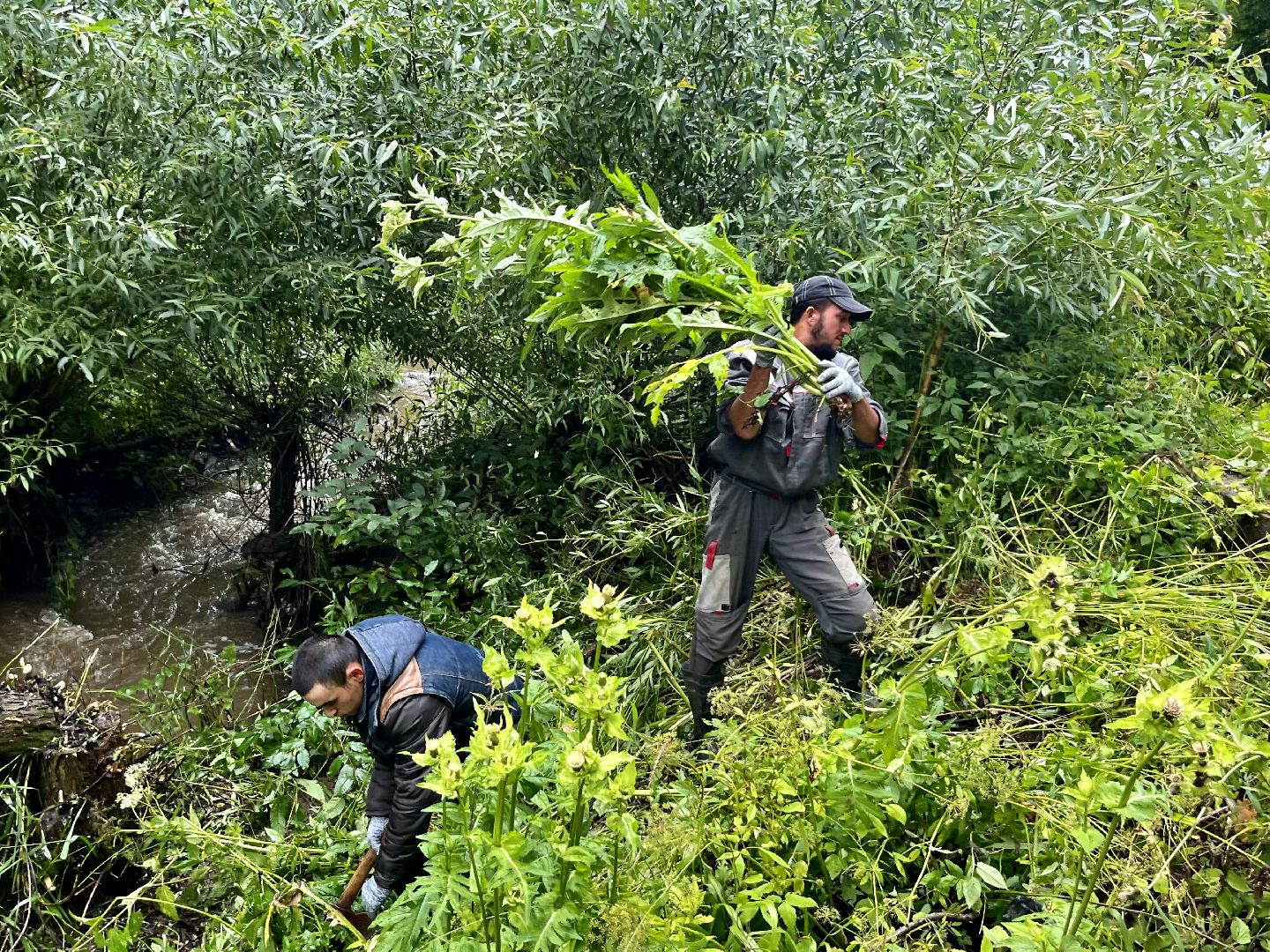 Наро-Фоминский городской округ, экология, чистое Подмосковье, непогода, субботник