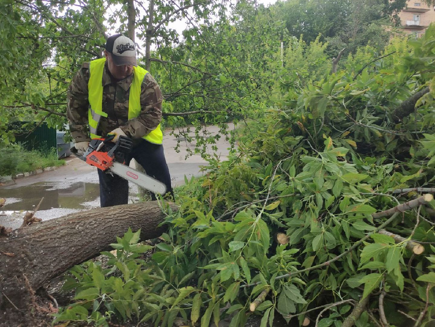 лыткарино, жкх, уборка, непогода,